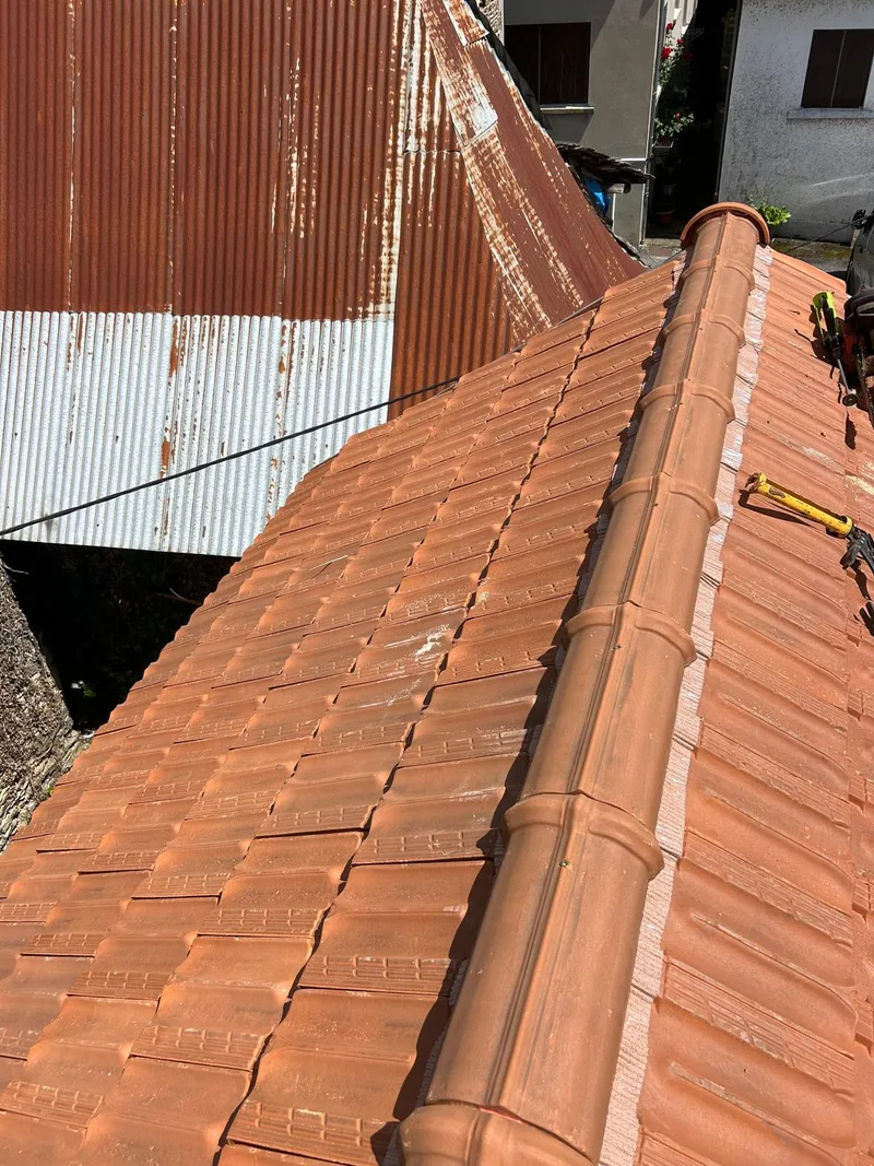 Remplacement de tuiles sur toiture à Montech